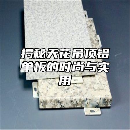 揭秘天花吊顶铝单板的时尚与实用