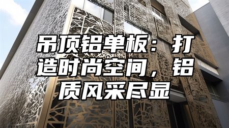 吊顶铝单板：打造时尚空间，铝质风采尽显