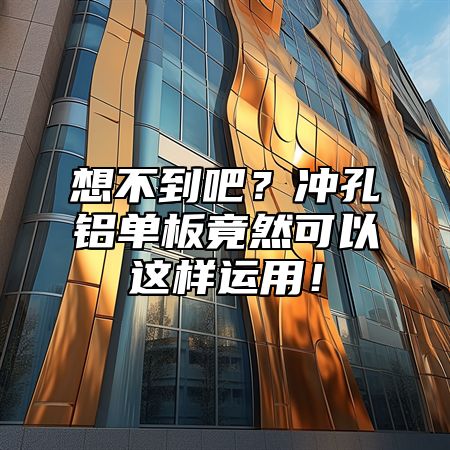 想不到吧？冲孔铝单板竟然可以这样运用！