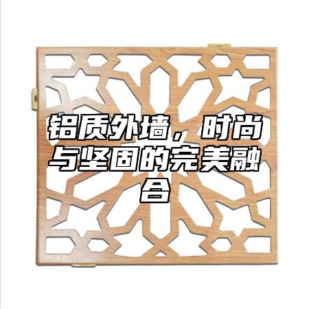 铝质外墙，时尚与坚固的完美融合