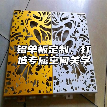 铝单板定制，打造专属空间美学