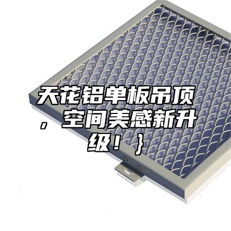 天花铝单板吊顶，空间美感新升级！}