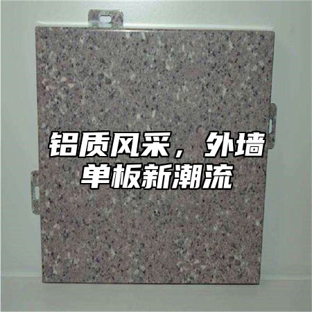 铝质风采，外墙单板新潮流